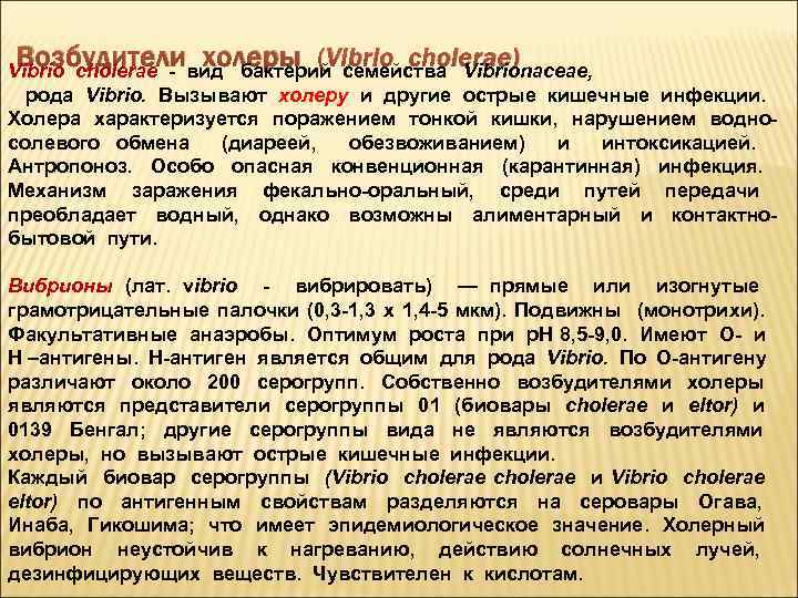 Возбудители холеры (Vibrio cholerae) Vibrio cholerae - вид бактерий семейства Vibrionaceae, рода Vibrio. Вызывают