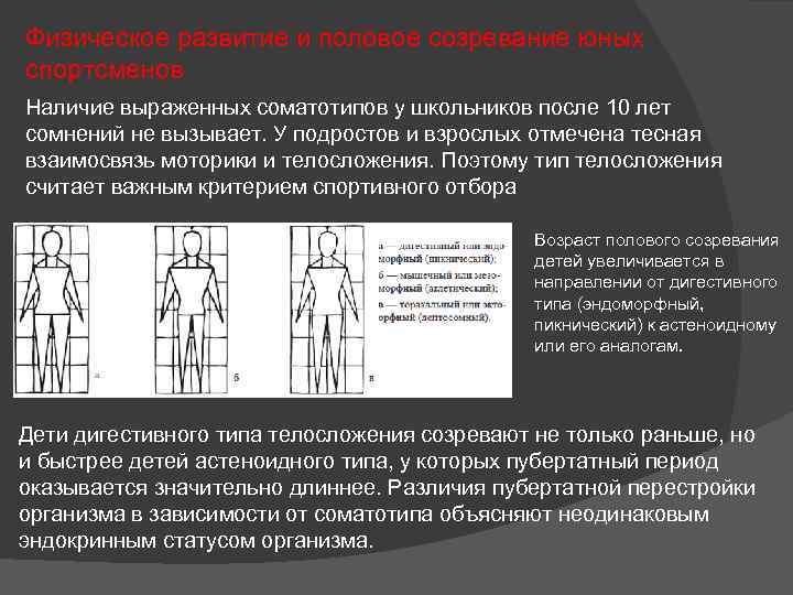 Физическое развитие и половое созревание юных спортсменов Наличие выраженных соматотипов у школьников после 10