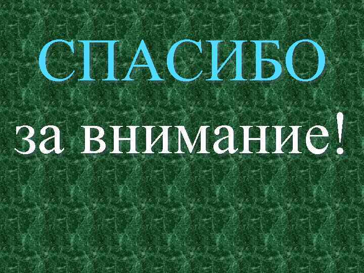 СПАСИБО за внимание! 