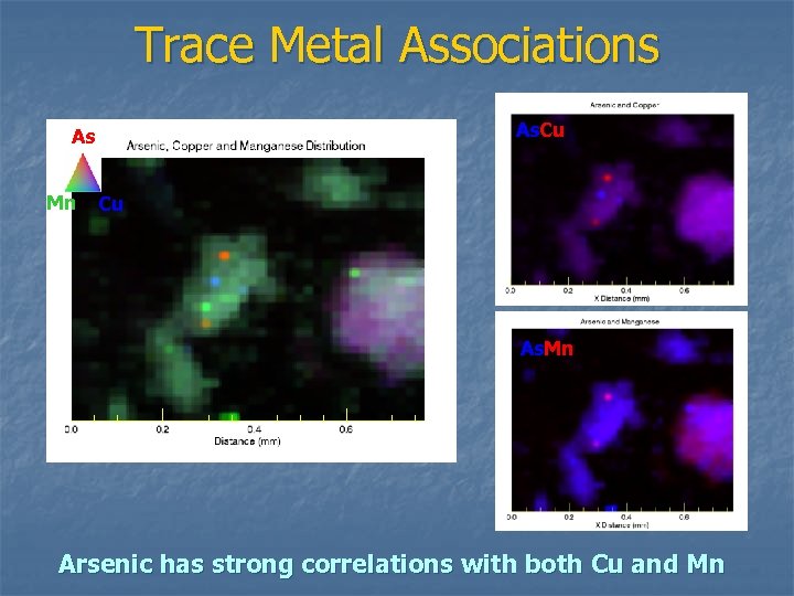 Trace Metal Associations As. Cu As Mn Cu As. Mn Arsenic has strong correlations