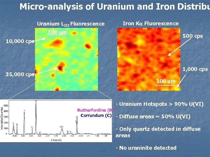 Micro-analysis of Uranium and Iron Distribu Uranium LIII Fluorescence Iron Ka Fluorescence 100 mm