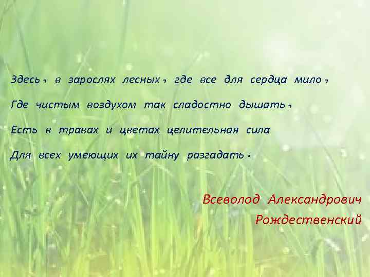 Здесь, в зарослях лесных, где все для сердца мило, Где чистым воздухом так сладостно