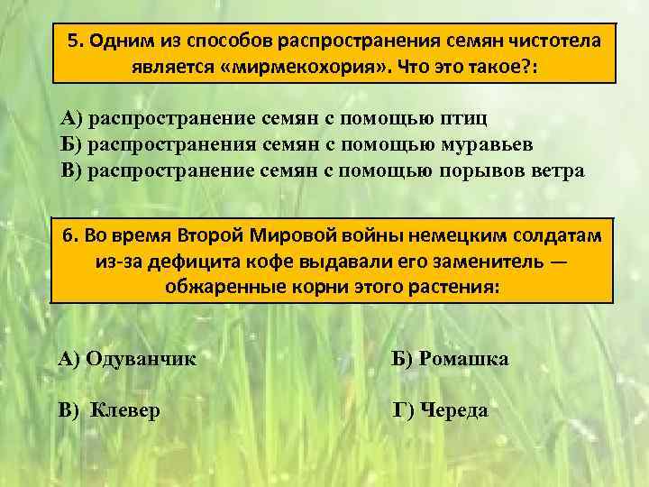 5. Одним из способов распространения семян чистотела является «мирмекохория» . Что это такое? :