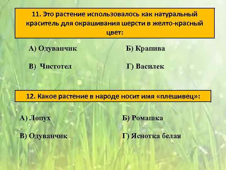 11. Это растение использовалось как натуральный краситель для окрашивания шерсти в желто-красный цвет: А)