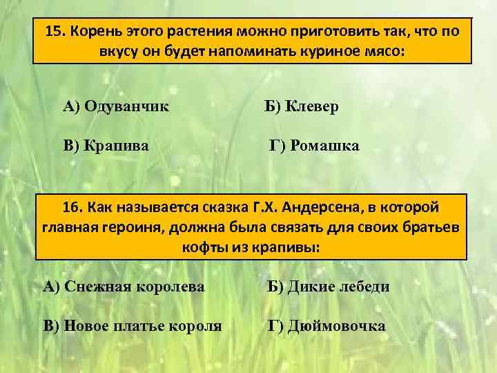 15. Корень этого растения можно приготовить так, что по вкусу он будет напоминать куриное