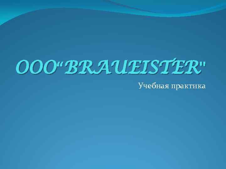 OOO“BRAUEISTER" Учебная практика 
