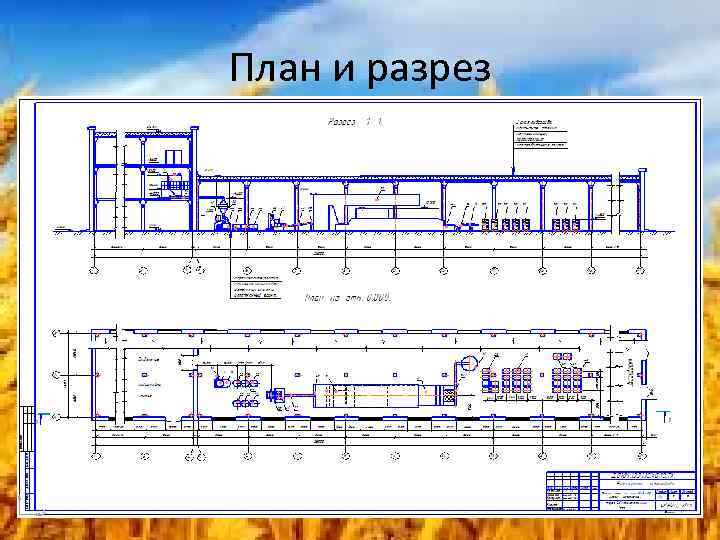 План и разрез 