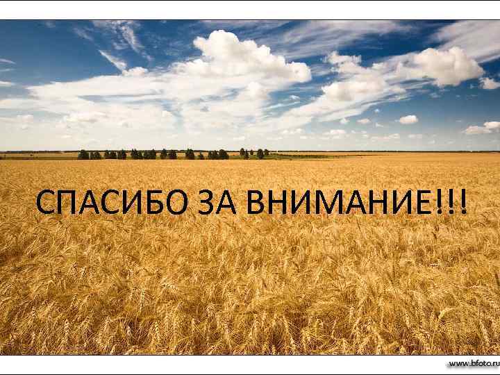 СПАСИБО ЗА ВНИМАНИЕ!!! 