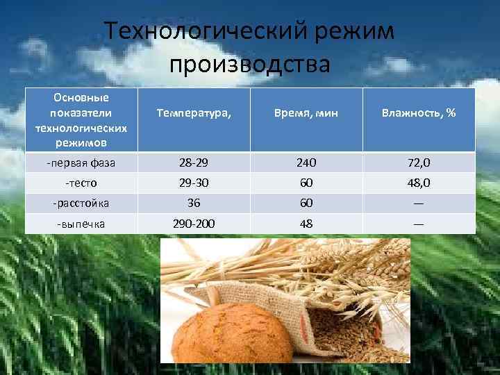 Режимы производства. Технологические режимы производства.