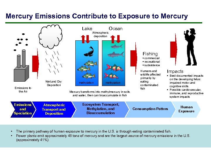 Mercury Emissions Contribute to Exposure to Mercury Lake Atmospheric deposition Ocean Fishing • commercial