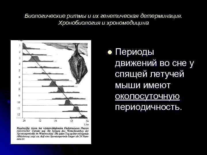 Гендерная детерминация потребления презентация