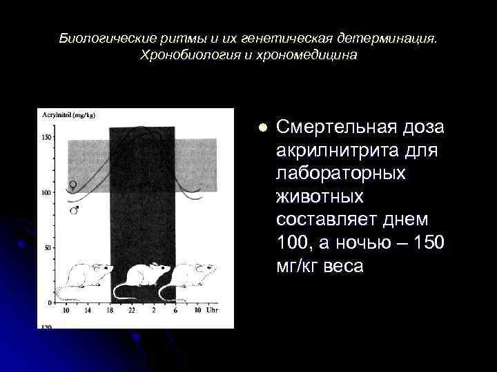 Биологические ритмы и их генетическая детерминация. Хронобиология и хрономедицина l Смертельная доза акрилнитрита для