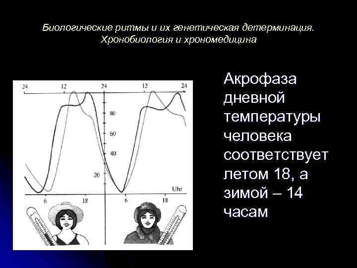 Тест биологические ритмы. Биологические ритмы акрофаза. Генетическая детерминация. Хронобиология и хрономедицина. Акрофаза это физиология.