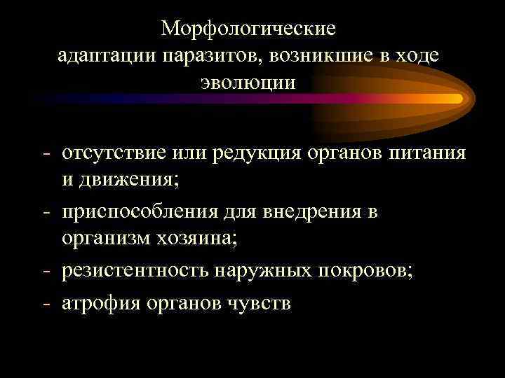 Морфологические адаптации паразитов, возникшие в ходе эволюции - отсутствие или редукция органов питания и