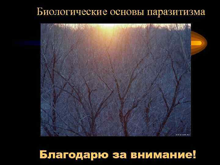 Биологические основы паразитизма Благодарю за внимание! 