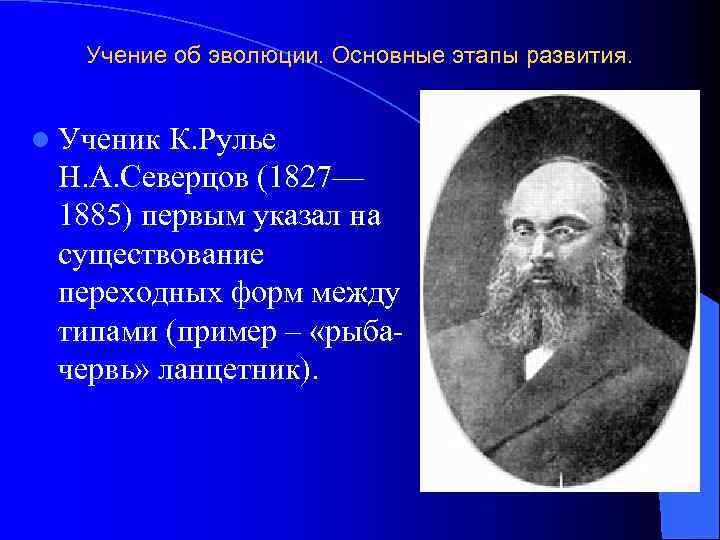 Учение об эволюции. Основные этапы развития. l Ученик К. Рулье Н. А. Северцов (1827—