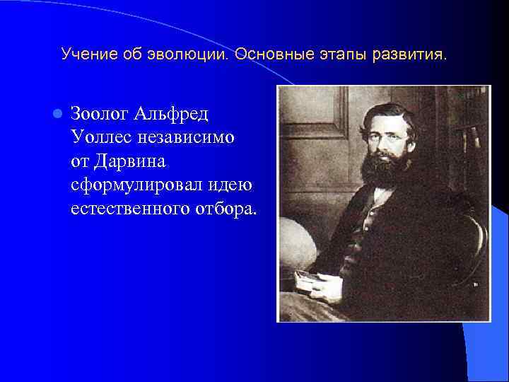 Учение об эволюции. Основные этапы развития. l Зоолог Альфред Уоллес независимо от Дарвина сформулировал