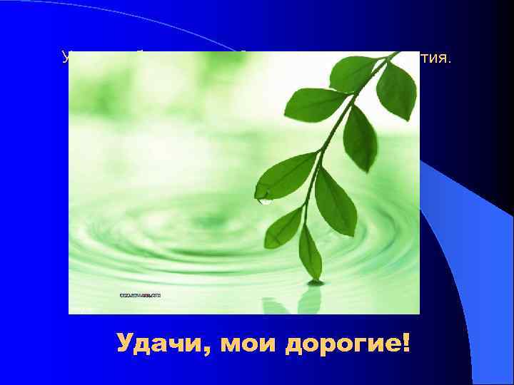 Учение об эволюции. Основные этапы развития. Удачи, мои дорогие! 