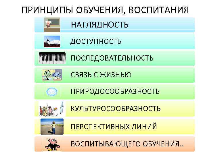 ПРИНЦИПЫ ОБУЧЕНИЯ, ВОСПИТАНИЯ НАГЛЯДНОСТЬ ДОСТУПНОСТЬ ПОСЛЕДОВАТЕЛЬНОСТЬ СВЯЗЬ С ЖИЗНЬЮ ПРИРОДОСООБРАЗНОСТЬ КУЛЬТУРОСООБРАЗНОСТЬ ПЕРСПЕКТИВНЫХ ЛИНИЙ ВОСПИТЫВАЮЩЕГО