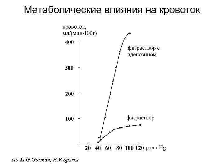 Метаболические влияния на кровоток По M. G. Gorman, H. V. Sparks 