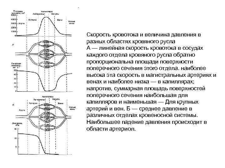 Сердце генератора центуриона