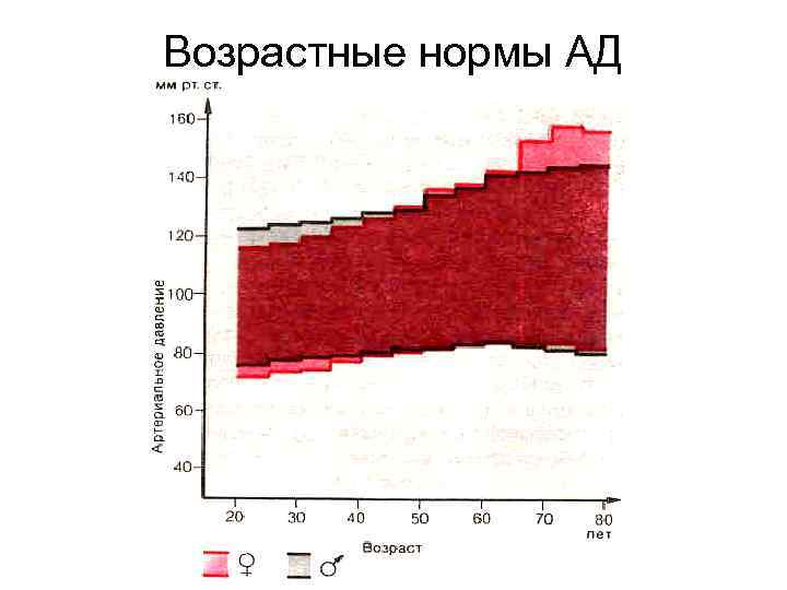 Возрастные нормы АД 