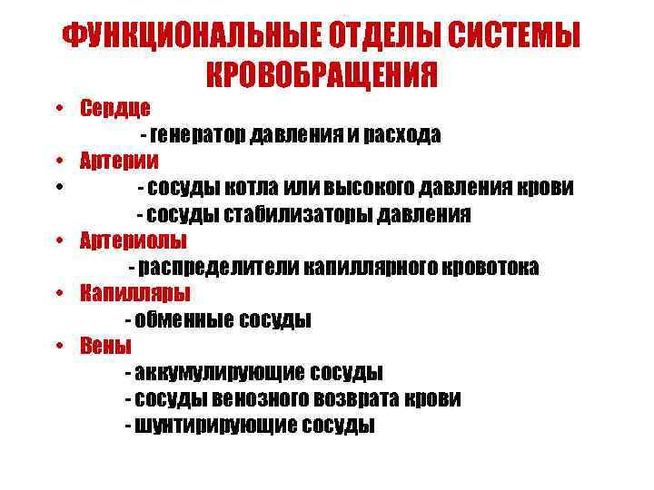ФУНКЦИОНАЛЬНЫЕ ОТДЕЛЫ СИСТЕМЫ КРОВОБРАЩЕНИЯ • Сердце - генератор давления и расхода • Артерии •