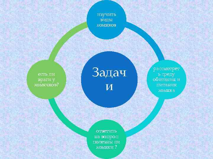 изучить виды хомяков есть ли враги у хомячков? Задач и ответить на вопрос: полезны