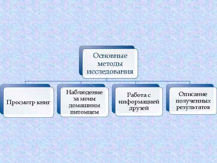 Основные методы исследования Просмотр книг Наблюдение за моим домашним питомцем Работа с информацией друзей