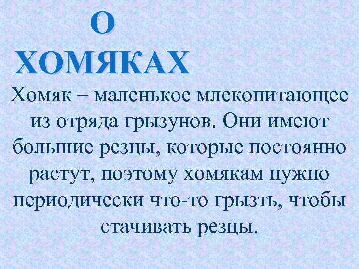 О ХОМЯКАХ Хомяк – маленькое млекопитающее из отряда грызунов. Они имеют большие резцы, которые