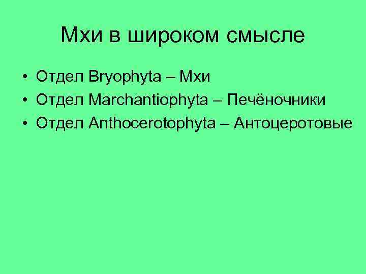 Мхи в широком смысле • Отдел Bryophyta – Мхи • Отдел Marchantiophyta – Печёночники