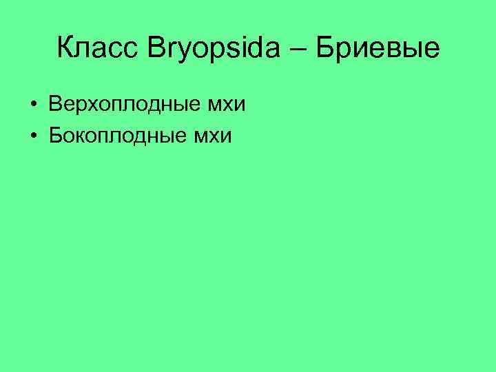 Класс Bryopsida – Бриевые • Верхоплодные мхи • Бокоплодные мхи 