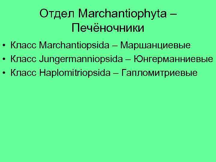 Отдел Marchantiophyta – Печёночники • Класс Marchantiopsida – Маршанциевые • Класс Jungermanniopsida – Юнгерманниевые