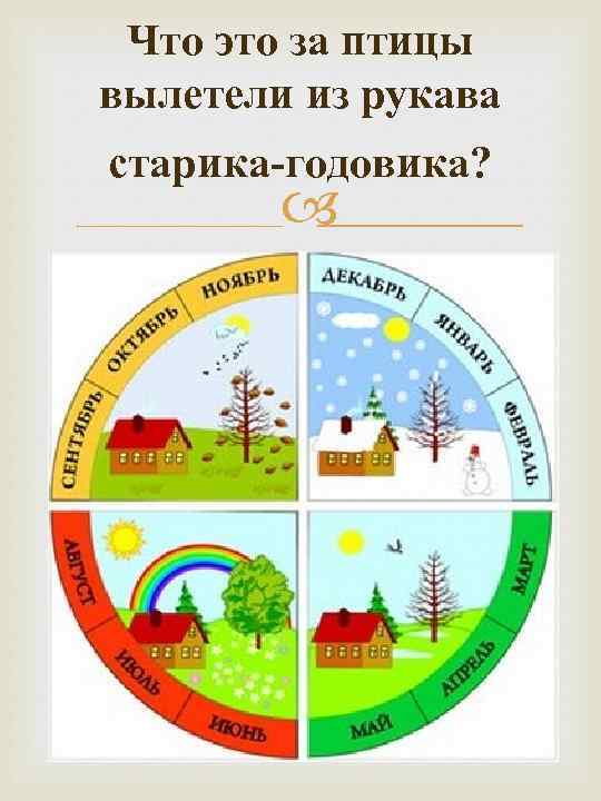 Что это за птицы вылетели из рукава старика-годовика? 