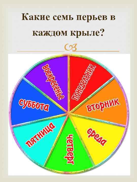 Какие семь перьев в каждом крыле? 