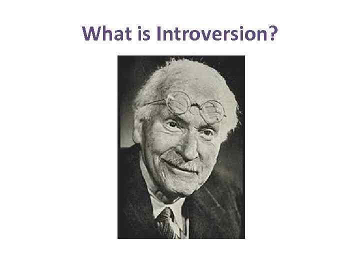 What is Introversion? 