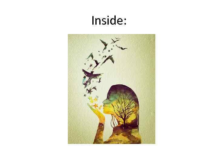 Inside: 