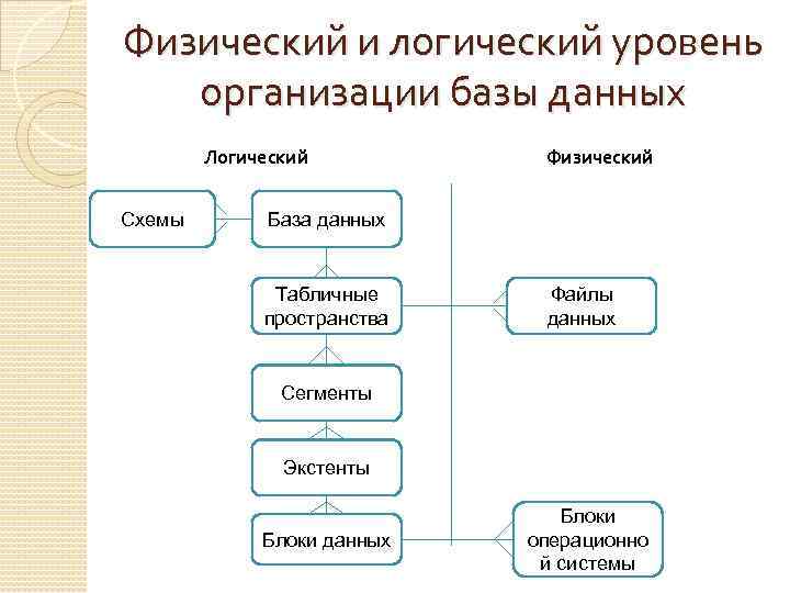 Организация материальной организации. Логический уровень проектирования базы данных. Логический и физический уровень организации данных. Физический уровень БД. Логическая и физическая организация баз данных.