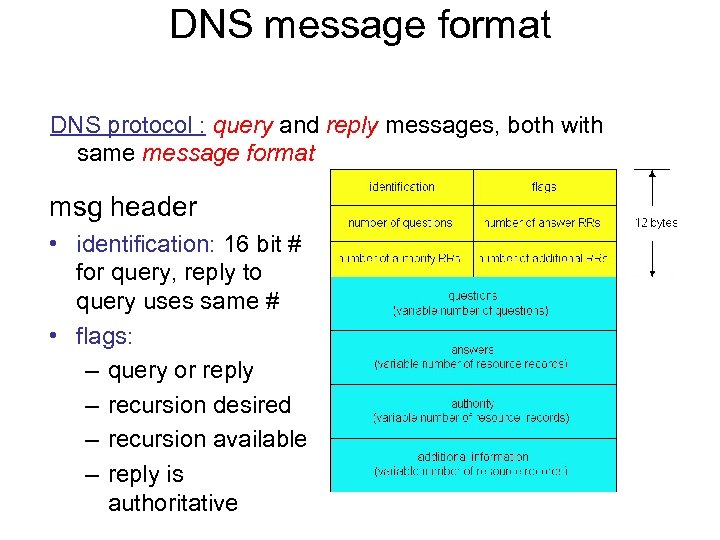DNS message format DNS protocol : query and reply messages, both with same message