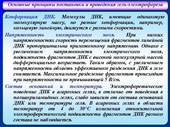 Основные прннципы постановки и проведения гель-электрофореза Конформация ДНК. Молекулы ДНК, имеющие одинаковую молекулярную массу,