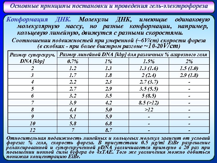 Основные прннципы постановки и проведения гель-электрофореза Конформация ДНК. Молекулы ДНК, имеющие одинаковую молекулярную массу,