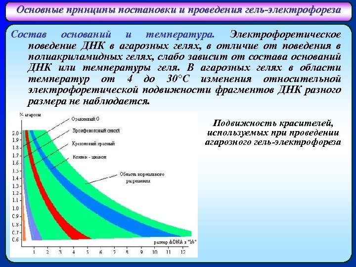 Основные прннципы постановки и проведения гель-электрофореза Состав оснований и температура. Электрофоретическое поведение ДНК в