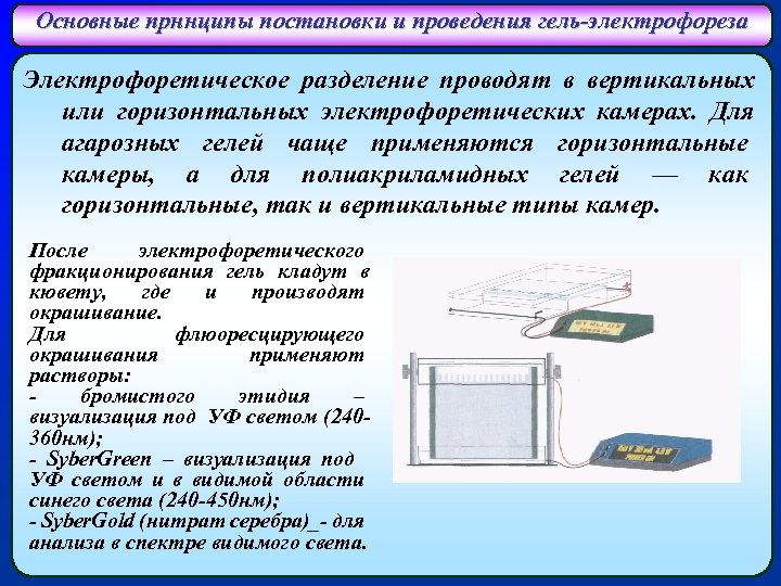 Слова песни электрофорез. Прибор для электрофореза в агарозном геле. Горизонтальный гель электрофорез. Электрофорез ДНК В агарозном геле.