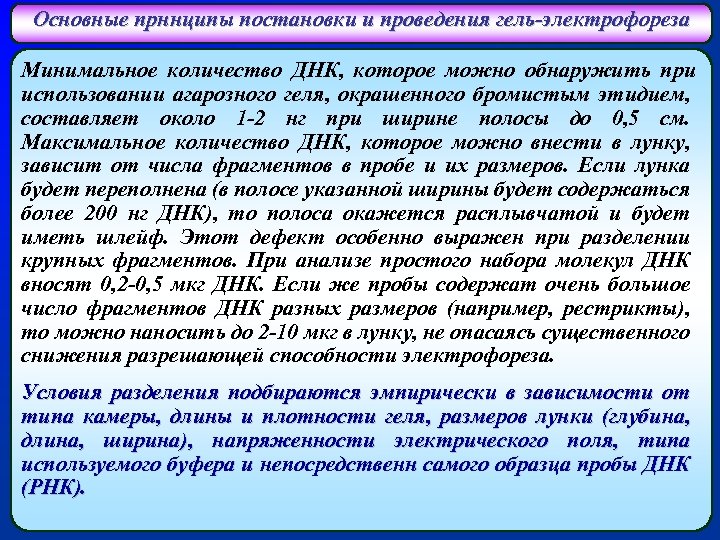 Основные прннципы постановки и проведения гель-электрофореза Минимальное количество ДНК, которое можно обнаружить при использовании