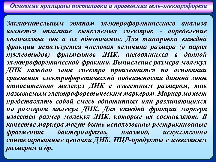 Основные прннципы постановки и проведения гель-электрофореза Заключительным этапом электрофоретического анализа является описание выявляемых спектров