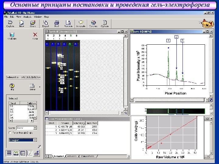 Основные прннципы постановки и проведения гель-электрофореза 