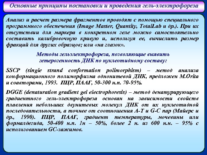 Основные прннципы постановки и проведения гель-электрофореза Анализ и расчет размера фрагментов проводят с помощью