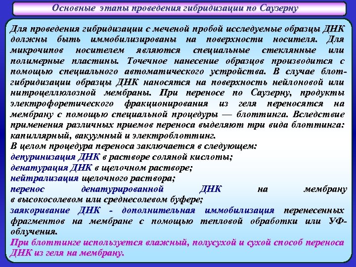 Основные этапы проведения гибридизации по Саузерну Для проведения гибридизации с меченой пробой исследуемые образцы