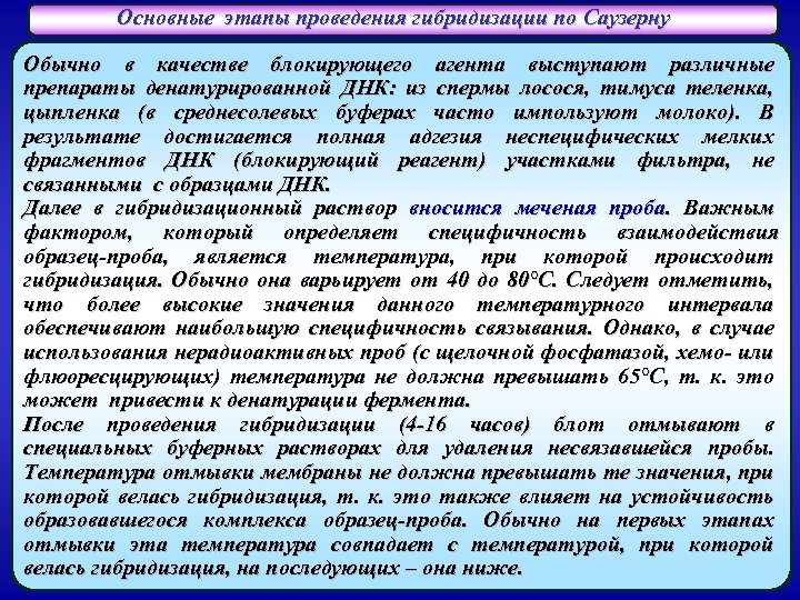 Основные этапы проведения гибридизации по Саузерну Обычно в качестве блокирующего агента выступают различные препараты