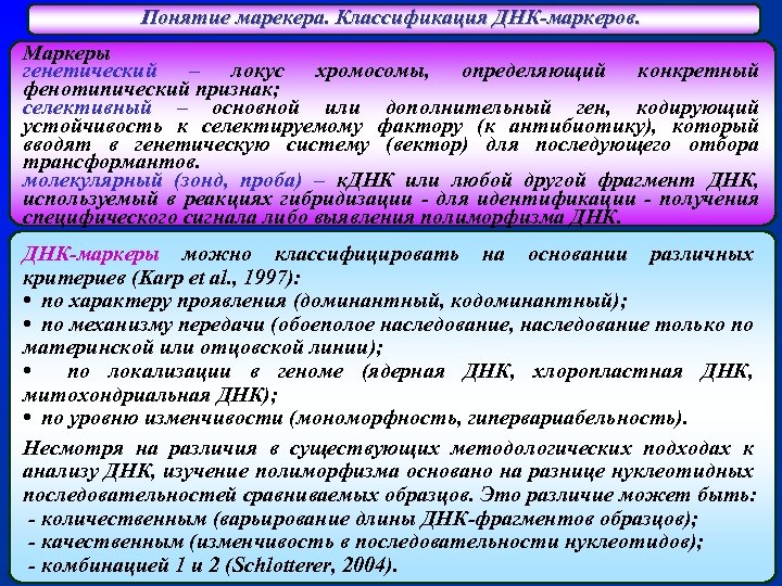 Понятие марекера. Классификация ДНК-маркеров. Маркеры генетический – локус хромосомы, определяющий конкретный фенотипический признак; селективный